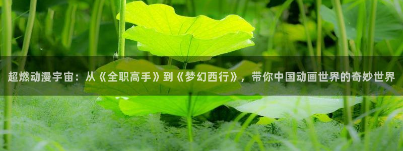 51动漫在线观看免费