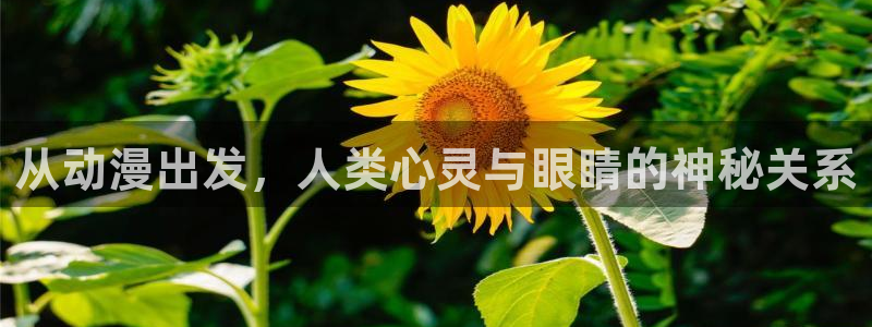 51动漫永久免费看nba视频