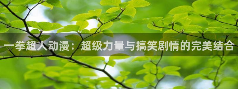51动漫苹果ios安装