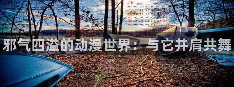 51动漫怎么下载安装